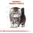 ROYAL CANIN Persian Kitten 10 kg granule pre perzské mačiatka