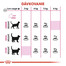 ROYAL CANIN Protein Exigent 2kg granule pre maškrtné mačky