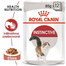 ROYAL CANIN Instinctive Gravy 85g kapsička pre dospelé mačky v šťave