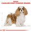 ROYAL CANIN Cavalier King Charles Spaniel Adult 7,5 kg granule pre dospelého gavalieršpaniela