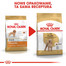 ROYAL CANIN Poodle Adult 3 kg granule pre dospelého pudla