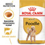 ROYAL CANIN Poodle Adult 3 kg granule pre dospelého pudla