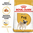 ROYAL CANIN Pug adult suché krmivo pre dospelých psov plemena mops 3 kg