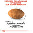 ROYAL CANIN Persian 10 + 2 kg GRATIS
