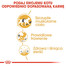 ROYAL CANIN Siamese Adult 10 kg