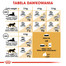 ROYAL CANIN Siamese Adult 10 kg