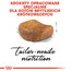ROYAL CANIN British Shorthair Adult 4kg granule pre britské krátkosrsté mačky