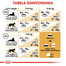 ROYAL CANIN Bengal Adult 400 g suché krmivo pre dospelé bengálske mačky