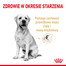 ROYAL CANIN Labrador Retriever Adult 5+ 3 kg