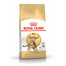 ROYAL CANIN Bengal Adult 400 g suché krmivo pre dospelé bengálske mačky