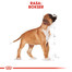 ROYAL CANIN Boxer junior 3 kg granule pre šteňa boxera