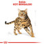 ROYAL CANIN Bengal Adult 400 g suché krmivo pre dospelé bengálske mačky