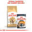 ROYAL CANIN Bengal Adult 400 g suché krmivo pre dospelé bengálske mačky