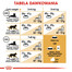 ROYAL CANIN British Shorthair Adult 4kg granule pre britské krátkosrsté mačky