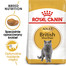 ROYAL CANIN British Shorthair Adult 4kg granule pre britské krátkosrsté mačky