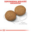 ROYAL CANIN Medium adult 10 kg