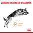 ROYAL CANIN German Shepherd Adult 5+ 3 kg
