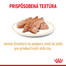 ROYAL CANIN Shih Tzu Adult Loaf 85 g karma mokra dla dorosłych psów rasy shih tzu