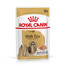 ROYAL CANIN Shih Tzu Adult Loaf 85 g karma mokra dla dorosłych psów rasy shih tzu