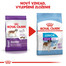 ROYAL CANIN Giant Junior 3,5 kg granule pre obrie šteňatá