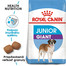ROYAL CANIN Giant Junior 3,5 kg granule pre obrie šteňatá