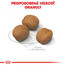 ROYAL CANIN Giant Puppy 3,5 kg granule pre obrie šteňatá