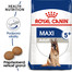 ROYAL CANIN Maxi Adult 5+ 4 kg granule pre dospelé starnúce veľké psy