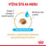 ROYAL CANIN Yorkshire Terrier Adult 8+ 500g granule pre staršieho jorkšírskeho teriéra