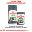 ROYAL CANIN Digest SENSITIVE 85g x 12