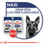 ROYAL CANIN Maxi ageing 8+ 10x140 g