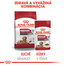ROYAL CANIN Medium ageing 10+ 10x140g kapsička pre staré stredné psy