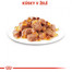 ROYAL CANIN Ultra Light Jelly 85g x 12 kapsička pre mačky s nadváhou v želé