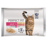 PERFECT FIT Cat Adult 1+ mäsová kapsička 4 x 85 g