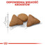 ROYAL CANIN Indoor Apetite Control 10 kg