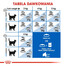 ROYAL CANIN Indoor Apetite Control 10 kg