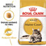 ROYAL CANIN Maine Coon Adult 2 x 10 kg