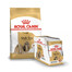 ROYAL CANIN Shih Tzu Adult suché krmivo pre dospelých psov shih tzu 1,5 kg + 12 x 85 g vlhké jedlo, kúsky v omáčke