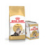 ROYAL CANIN Persian Adult 10 kg + kapsičky Persian Adult 12x85 g