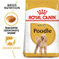 ROYAL CANIN Poodle Adult 2 x 7,5 kg granule pre dospelého pudla