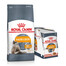 ROYAL CANIN Hair&Skin Care 10 kg + ROYAL CANIN Intense Beauty Gravy 12 x 85 g