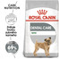ROYAL CANIN Mini dental care 2 x 8 kg granuly pre psy znižujúce tvorbu zubného kameňa