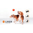 LIKER Dog toy  7 cm