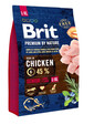 BRIT Premium By Nature Senior Large Extra Large L+XL 3 kg