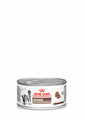 ROYAL CANIN Veterinary Diet Recovery Feline/Canine Can 195g