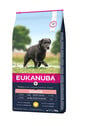 EUKANUBA Caring Senior Large Breed Chicken 15kg