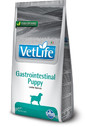 FARMINA VetLife Dog Puppy Gastrointestinal Puppy diétne krmivo pre šteňatá 12 kg