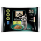 SHEBA Kitten Výber príchutí v omáčke 4x85g krmivo s lososom a kuracím mäsom pre mačiatka
