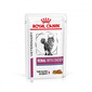 Veterinary Diet Cat Renal Chicken Pouch 12x 85 g