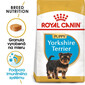 ROYAL CANIN Yorkshire Puppy 500g granule pre šteňa jorkšíra
