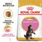 ROYAL CANIN Maine Coon Kitten 10kg granule pre mainské mývalie mačiatka